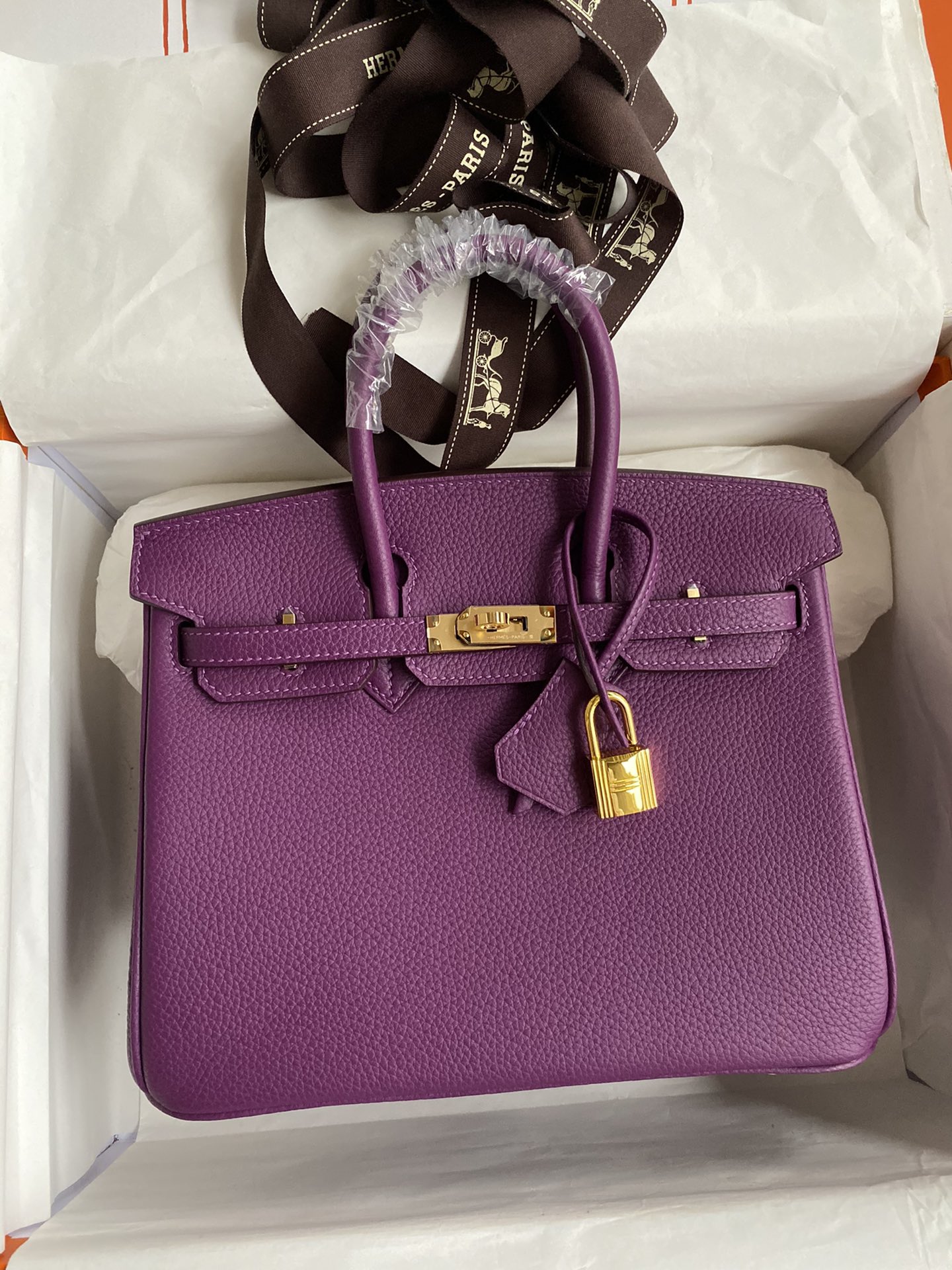 Hermes Birkin 25CM Togo Leather Handbag Anemone